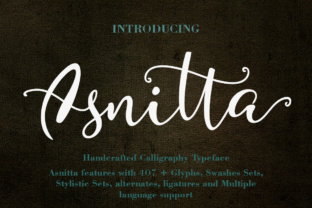 Asnitta: The Script Font That Elevates Your Brand