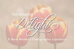 Delight: A Font That Elevates Editorial Design