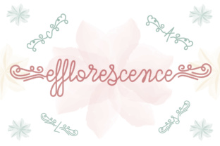 Efflorescence: A Script Font for Digital Branding and Web Design