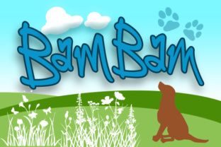 Font Choice That Speaks Volumes: How BamBam Boosts Campaign Clarity