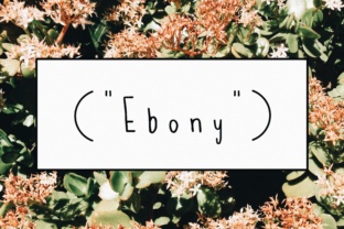 Font Choice That Speaks Volumes: How Ebony Elevates Your Campaigns