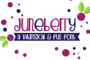 PN Juneberry: A Script Font for Creative Campaigns